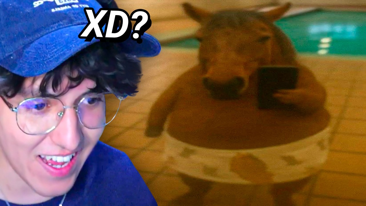 MEMES de FANS de SOARINNG xD! #2