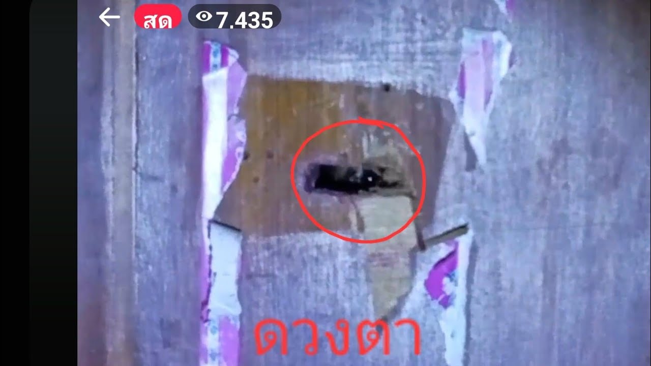 จ้องตาผี เจอเต็มๆ 6-1-24 #พิสูจน์ศาสตร์ #ผีเล่นผี #ระบบไร้สาระแบบครบวงจร #รายการผี #สิ่งลี้ลับ