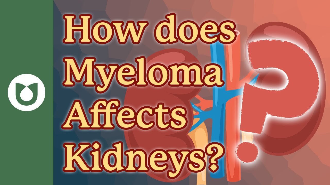 What causes kidney problems in multiple myeloma? What is myeloma kidney?