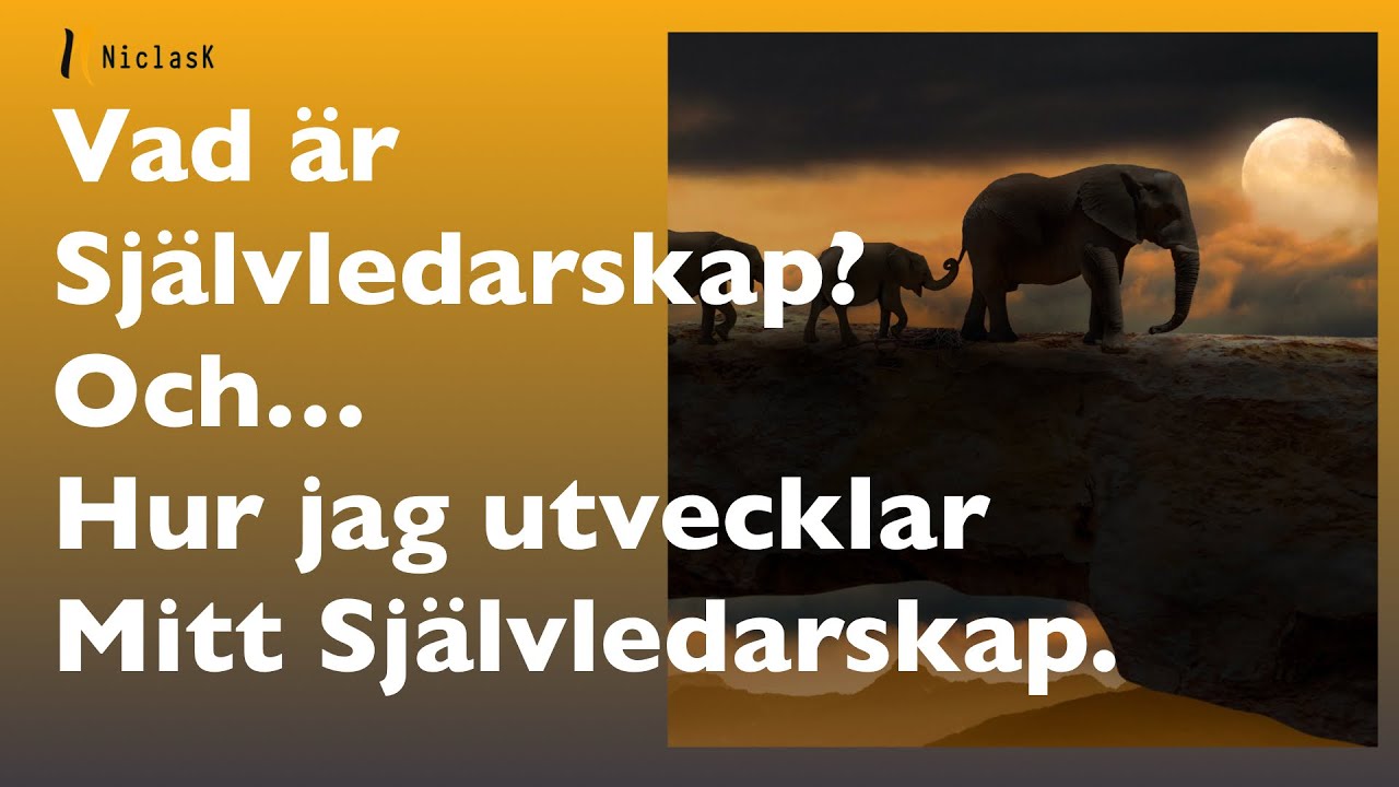 Självledarskap, allt du behöver veta för att komma igång!