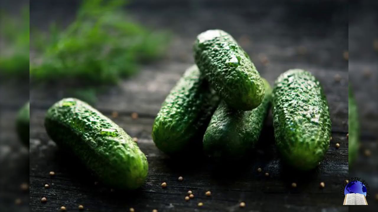 Soiuri valoroase de legume - de unde procurăm semințe