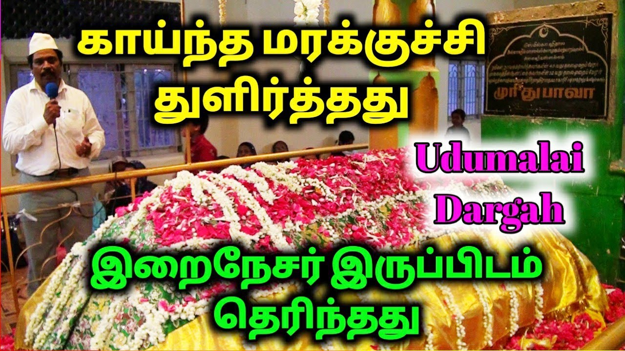 காய்ந்த மரக்குச்சி துளிர்த்தது இறைநேசர் இருப்பிடம் தெரிந்தது| Udumalai Mureed Bava Dargah Urus Vlog