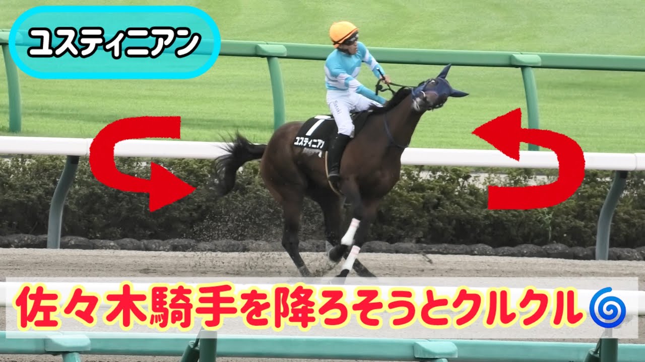 令和のハクサンムーン？佐々木騎手を落とそうとクルクル回るユスティニアン