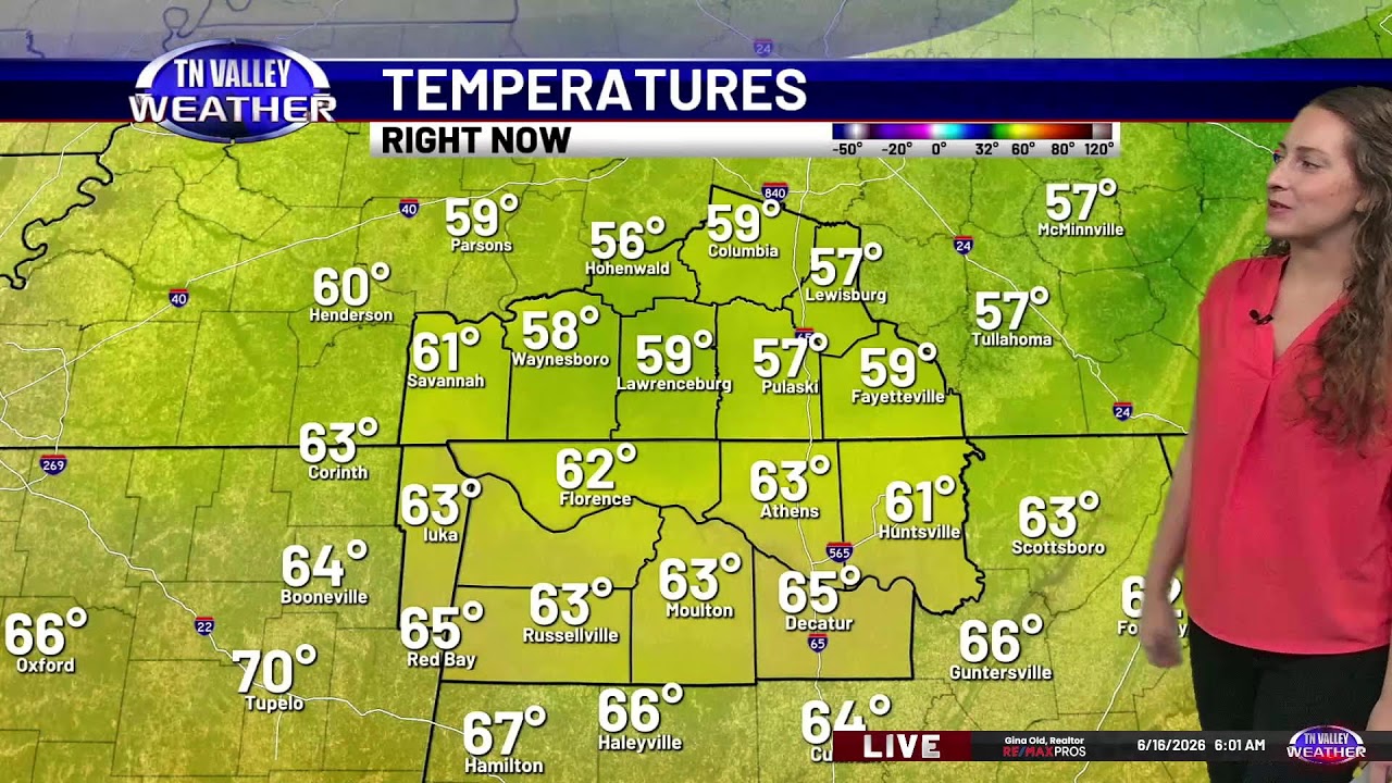 Live Weather Update