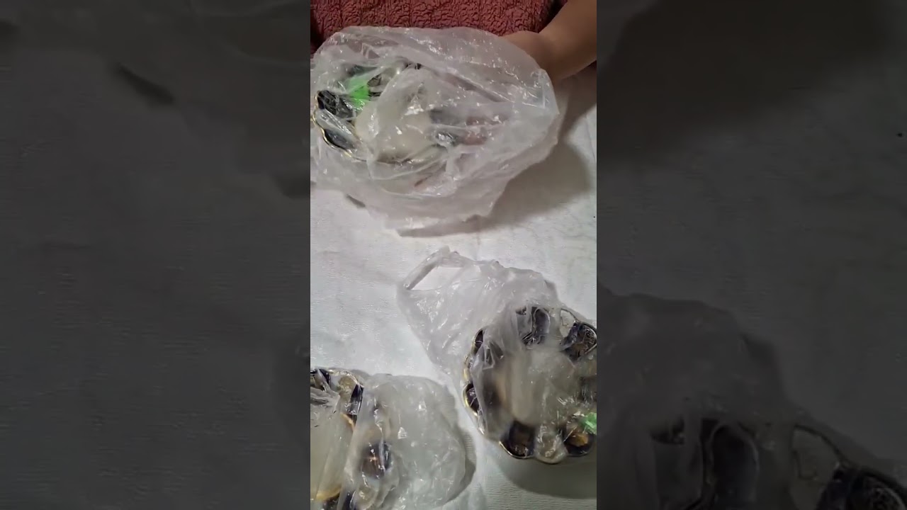 ВСЯ ПІДГОТОВКА НАСІННЯ ПЕРЦЮ В 1 ВІДЕО