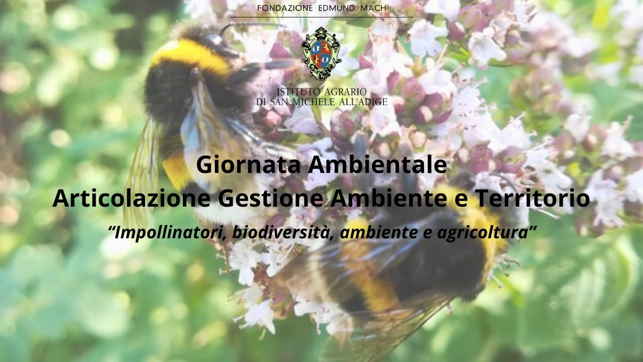 Impollinatori, biodiversità, ambiente e agricoltura (Giornata Ambientale GAT)