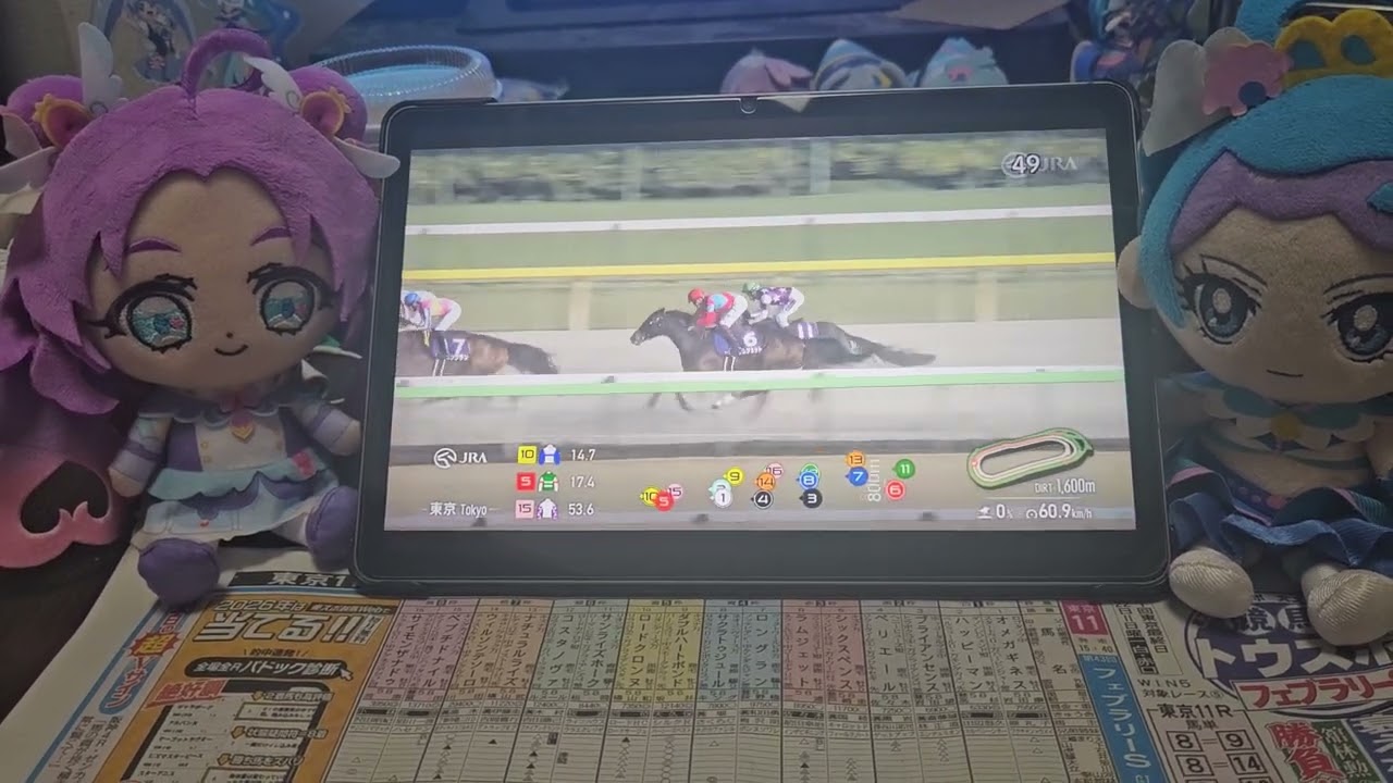 (競馬)第43回フェブラリーステークス(GⅠ)解説ダイジェスト