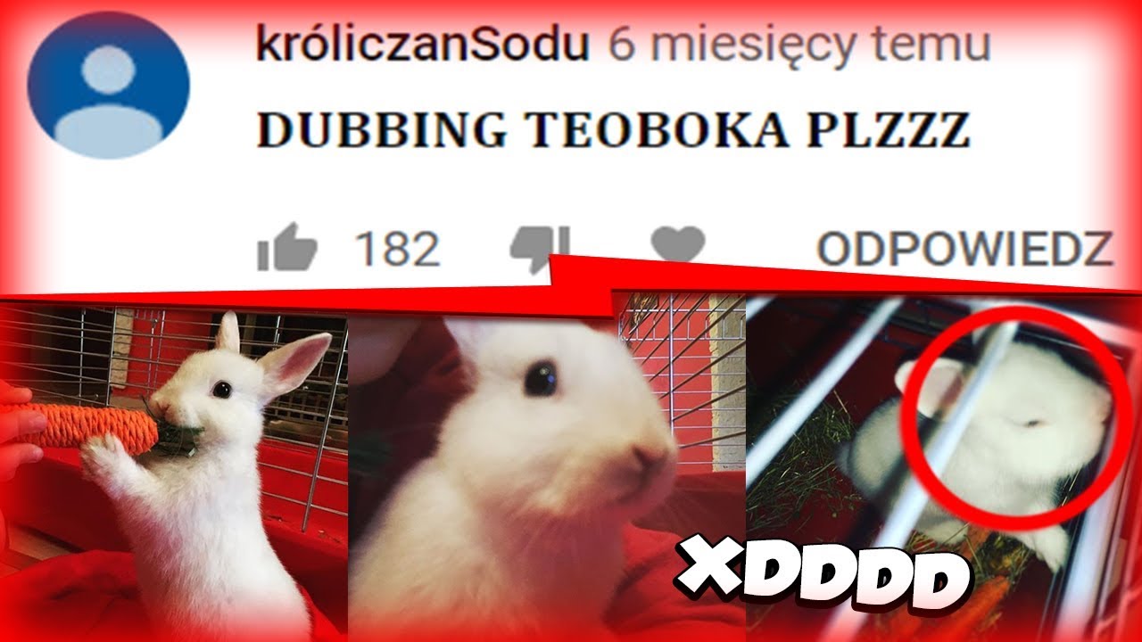 DABBINGUJE KRÓLIKA *𝐛𝐞𝐤𝐚*😛 #8 - VPLAY