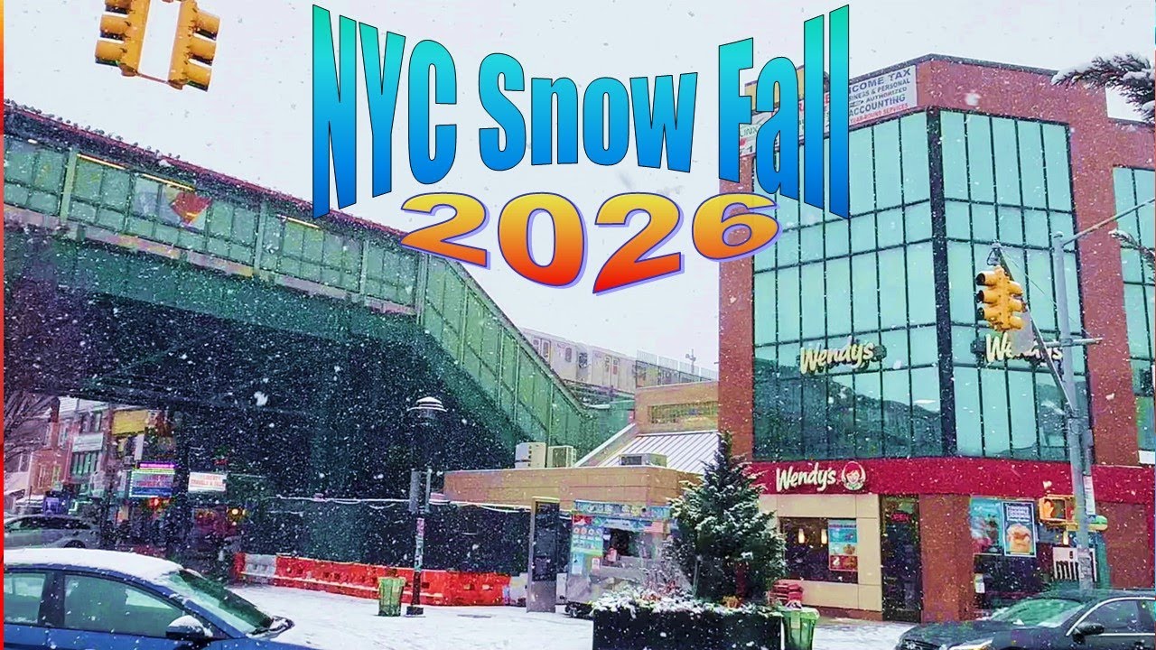 New York City's snowfall in 2026 #nyc #snowfall #2026
