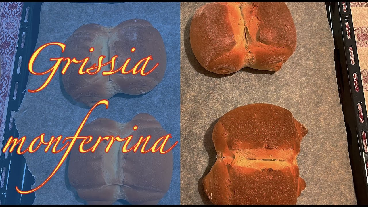 Grissia monferrina
