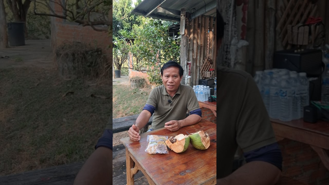 Ep3:หมูพื้นบ้านเลี้ยงแล้วขายไส? #หมูพื้นบ้านอาหารมั่นคง #foodsecurity #farmlife #บ้านทับตะวัน 