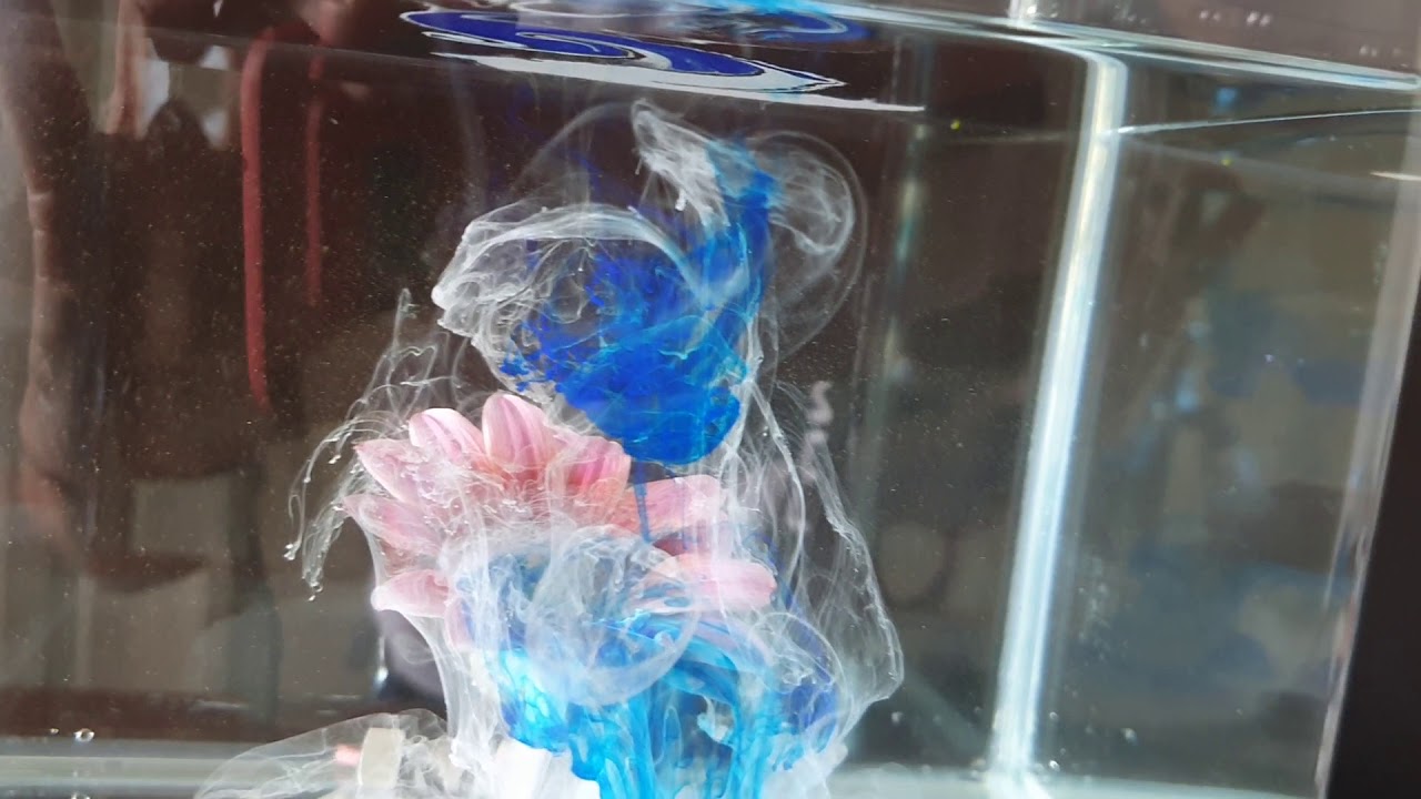 Creative Photography. Flowers and Ink