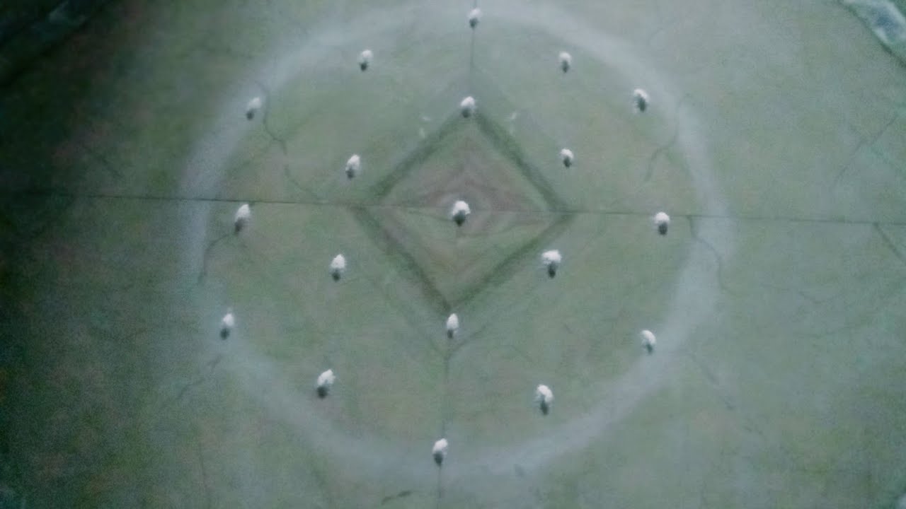 5*3 Easy & quick pongal pot rangoli design 🪔2026 pongal kolam 🪔 muggulu 🪔 peacock rangoli design 🪔