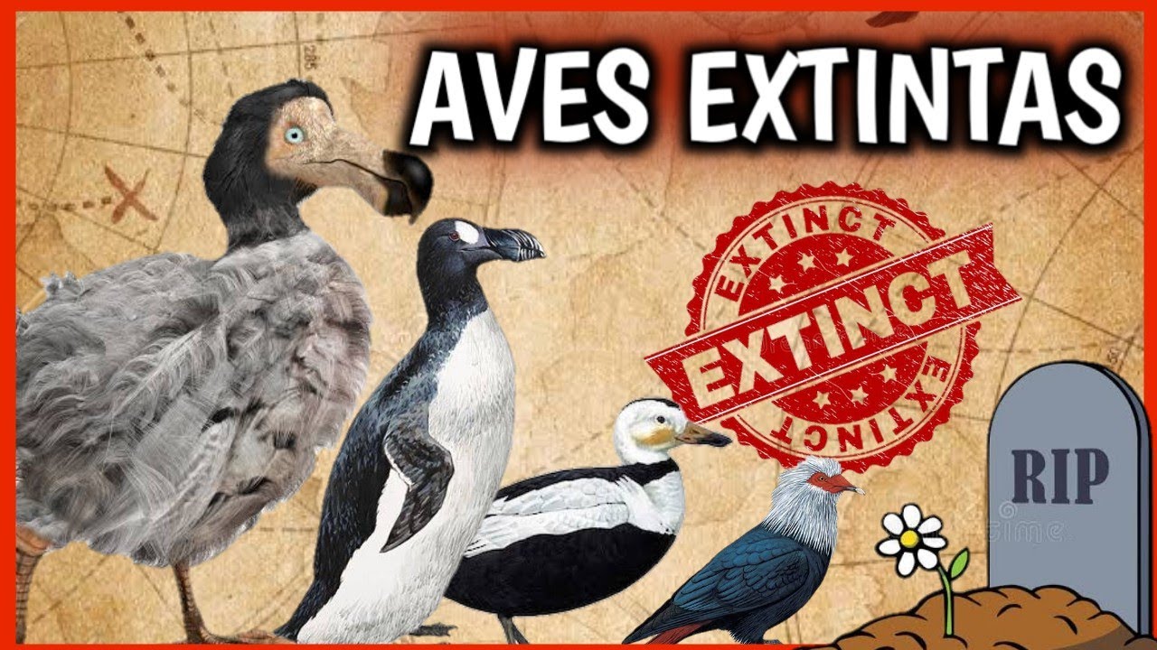 ¡7 Aves EXTINTAS! 😱☠️ Animales extintos por el Hombre que ¡NUNCA VEREMOS! Documental