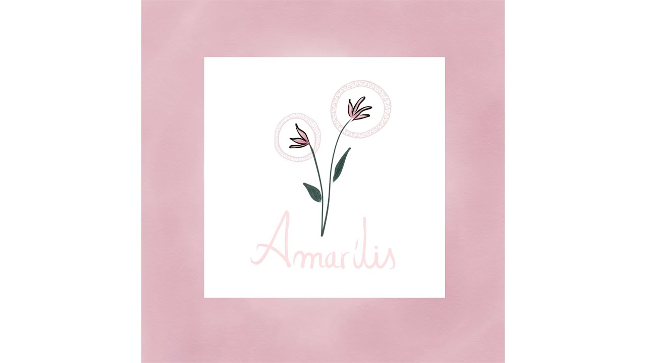 Bia Maria - Amarilis