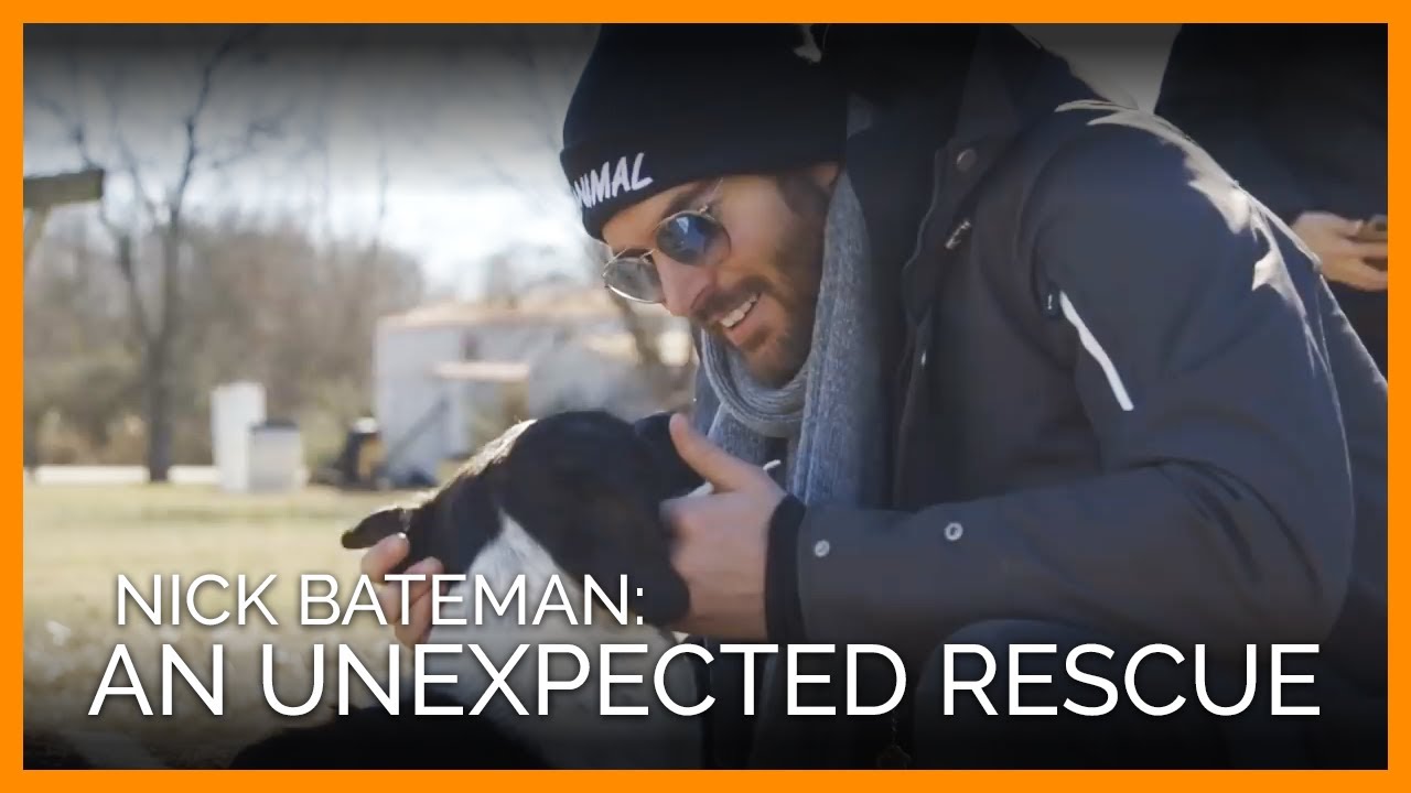 WATCH: Nick Bateman's Ride-Along With PETA Turns Into a Surprise Rescue Mission