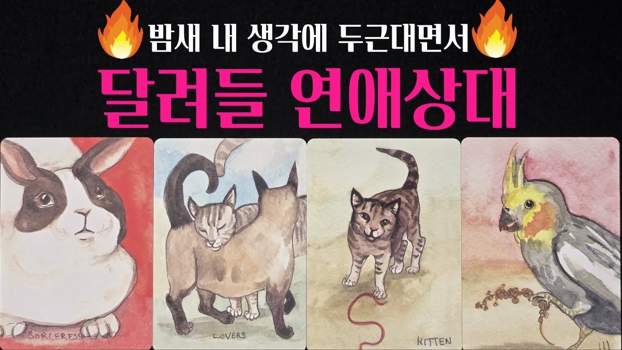 [진짜 타로] 🚨소름주의‼️내 생각에 두근대면서 달려들 연애상대💗 외모 성격 시기 장소 딱! 집어 알려드려요🔥