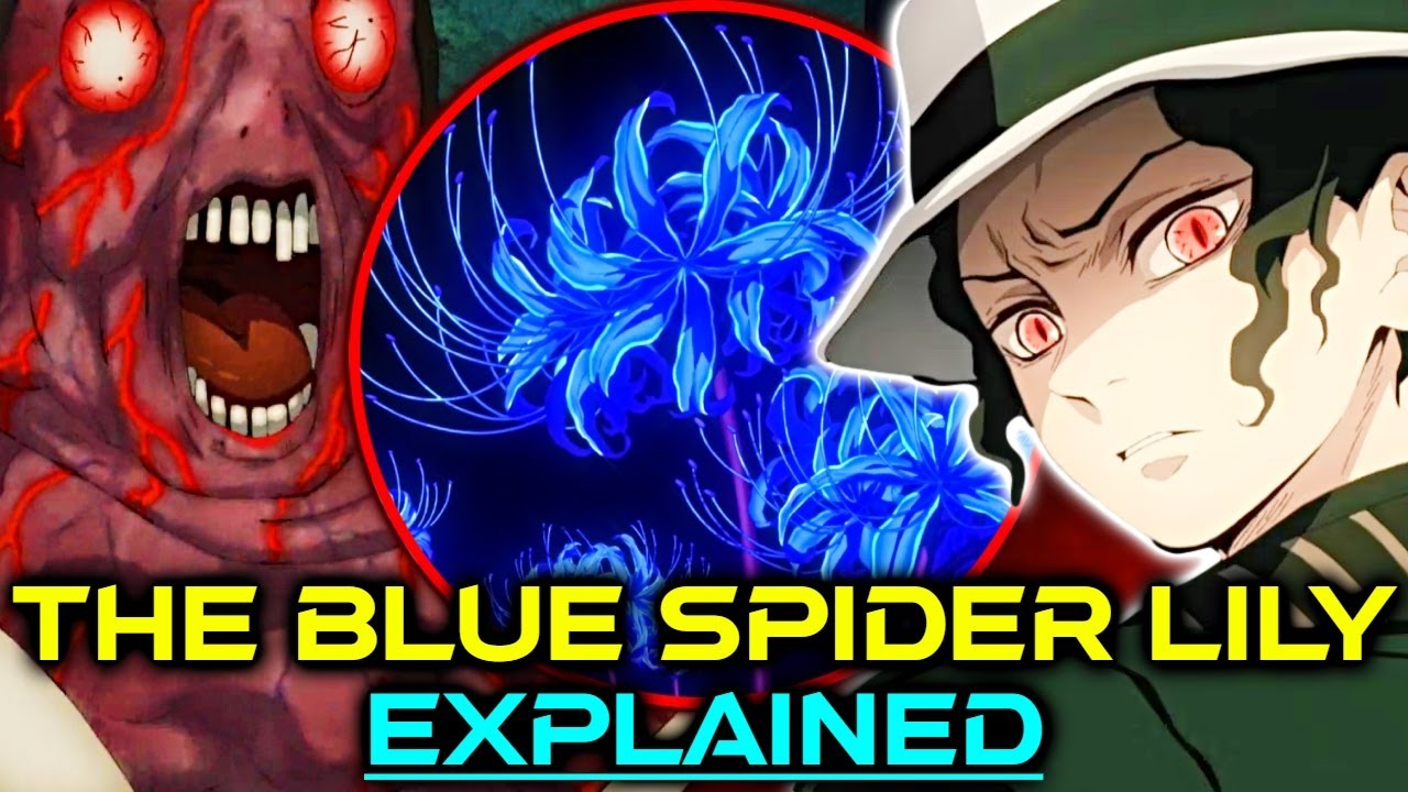The Blue Spider Lily: A Flower of Mystery and Obsession - Explained