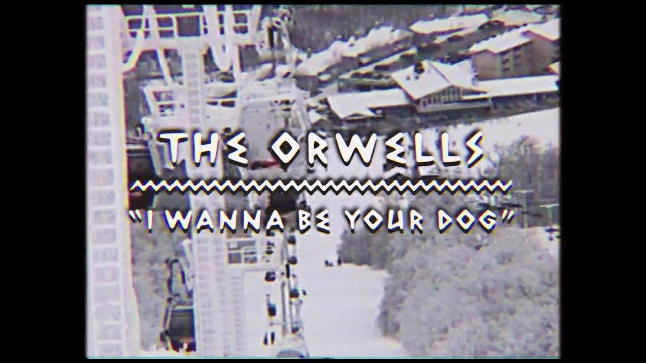 The Orwells Cover The Stooges - I Wanna Be Your Dog | The Wild Honey Pie On The Mountain
