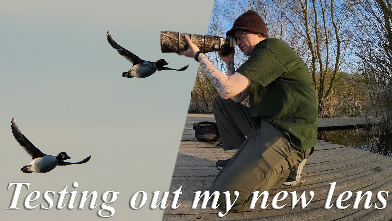 I've got a NEW LENS! Bird photography at RSPB Fen Drayton Lakes
