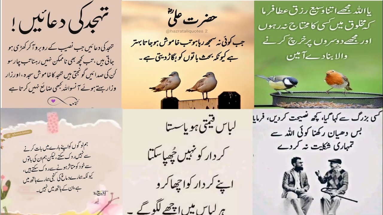 Amazing Collection Quotes In Urdu | Urdu Poetry | Islamic Quotes | Motivational Quotes 