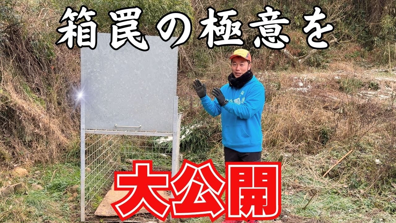 明日からできる！箱罠での捕獲テクニックを大公開！！
