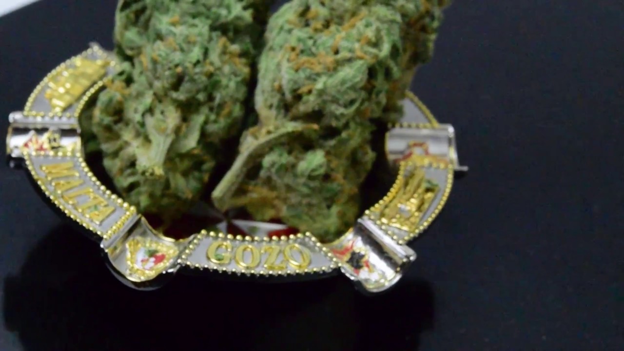 Craft Cannabis Grape God weed Strain