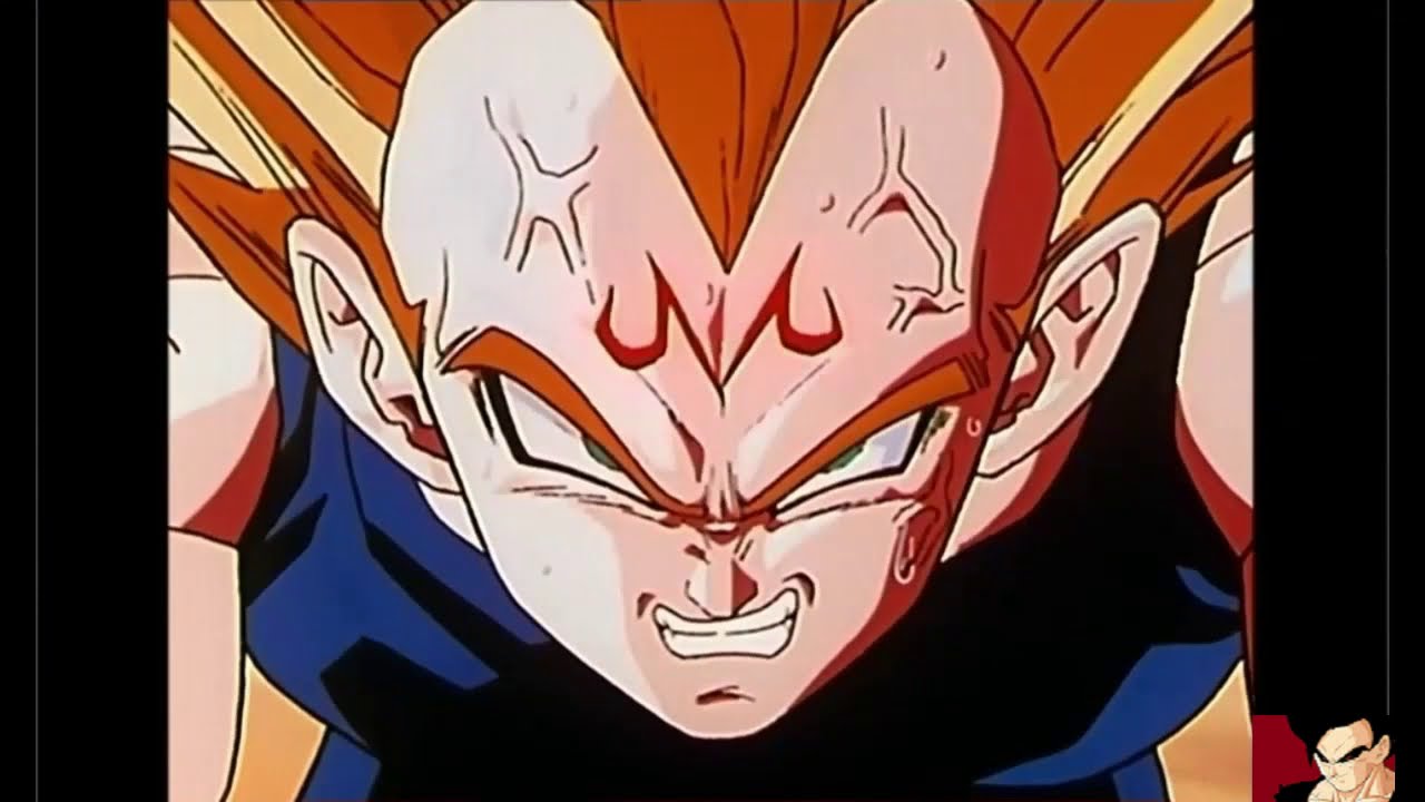 DBZ Majin Vegeta AMV - Any Means Necessary