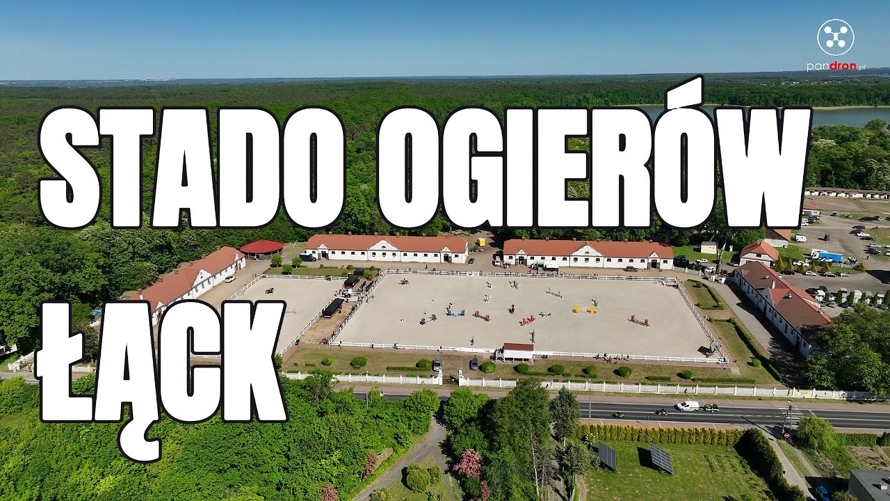 Stado Ogier&oacute;w Łąck podczas zawod&oacute;w. #konie #łąck #stadoogier&oacute;w #stadnina