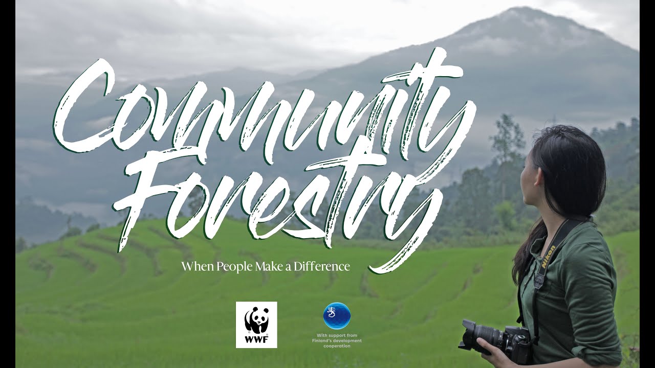 Bhutan's Community Forestry
