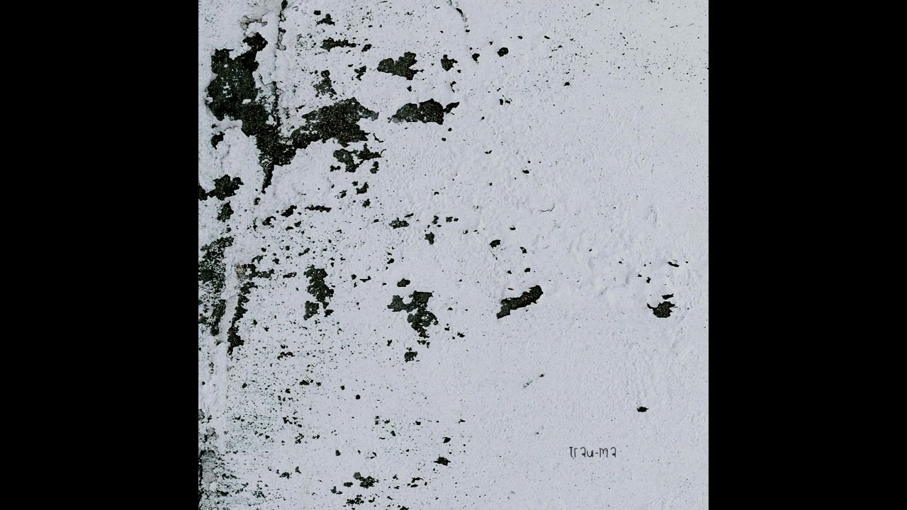 Veiga - Parapraxis [TRM345]