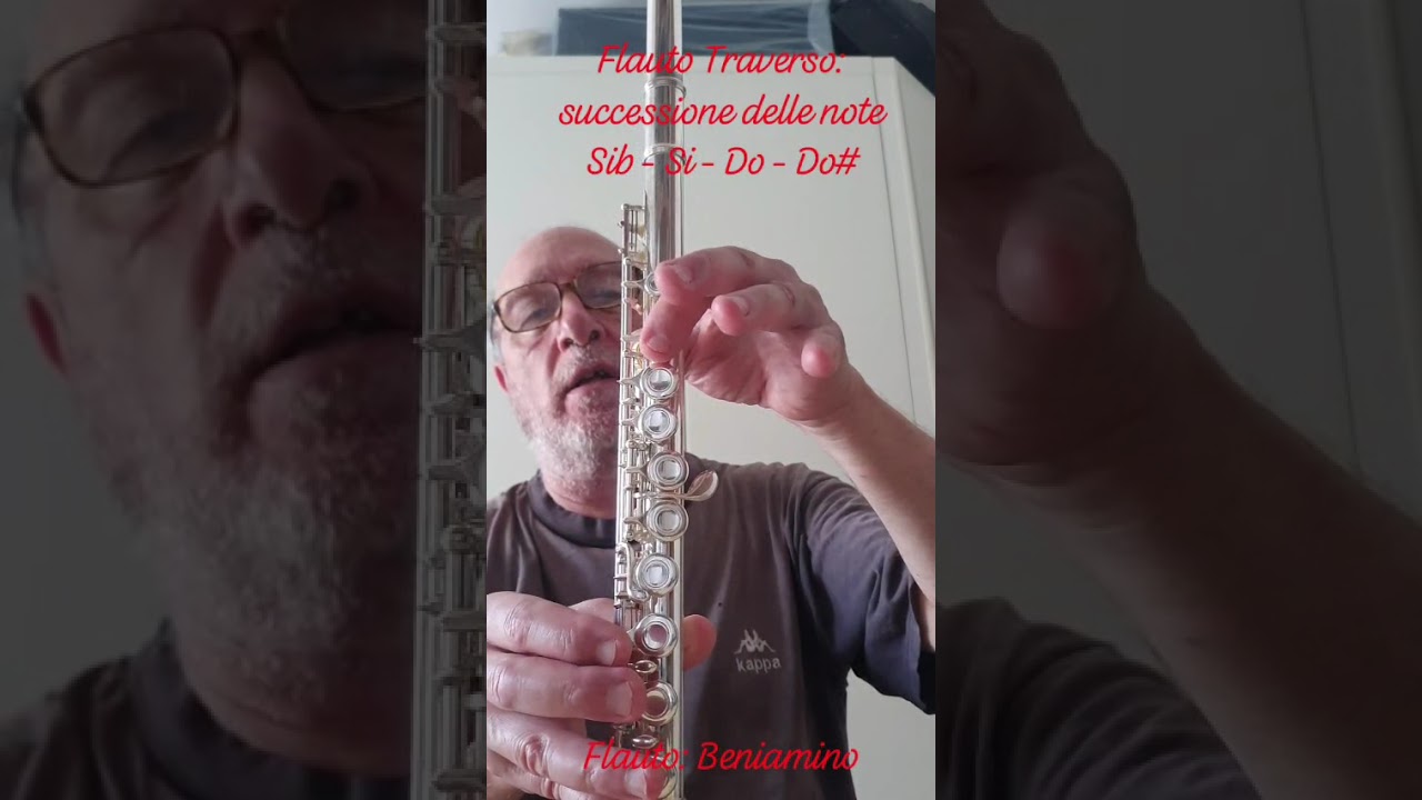 FLAUTO TRAVERSO: successione delle note Sib - Si - Do - Do# -- Flauto: Beniamino