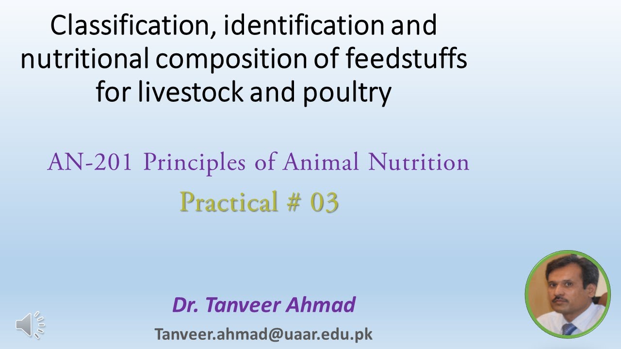 Practical#3- Classification and identification of feedstuffs (Roughages)- Lecture Series_Nutrition