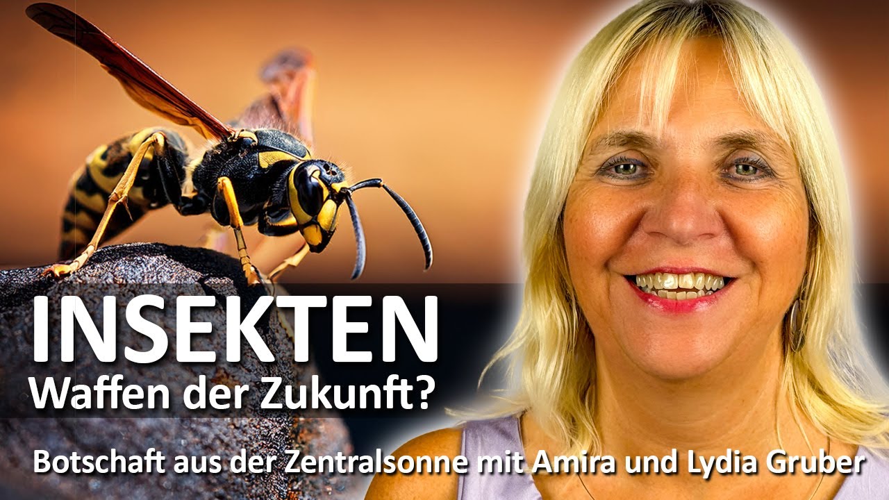 Insekten - Waffen der Zukunft? (Botschaft aus der Zentralsonne | 28.8.24 | Channeling)