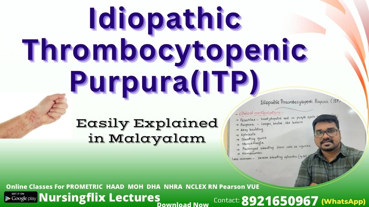 Idiopathic Thrombocytopenic Purpura(ITP) l Easily Explained in Malayalam