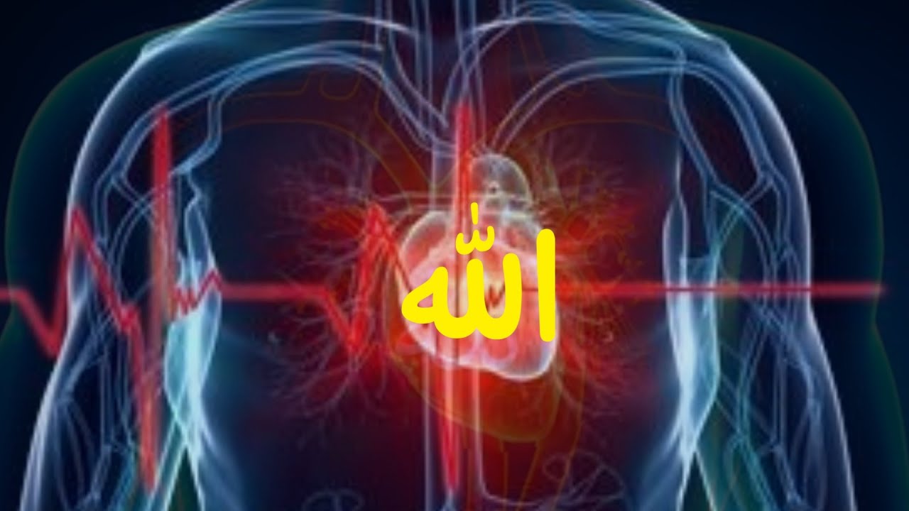 Zikr ALLAH 21 Minutes | Beautiful Zikr of ALLAH | Sufi Meditation Zikr | Muhammadi Rohani Qafila