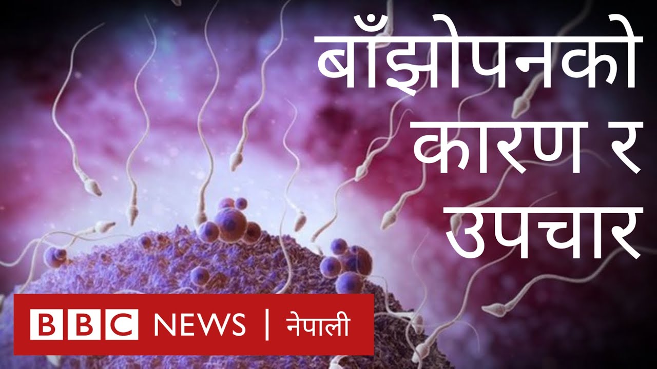 बाँझोपन: चाहँदा पनि बच्चा जन्माउन नसक्नुका कारण के-के हुन्? - बीबीसी न्यूज नेपाली