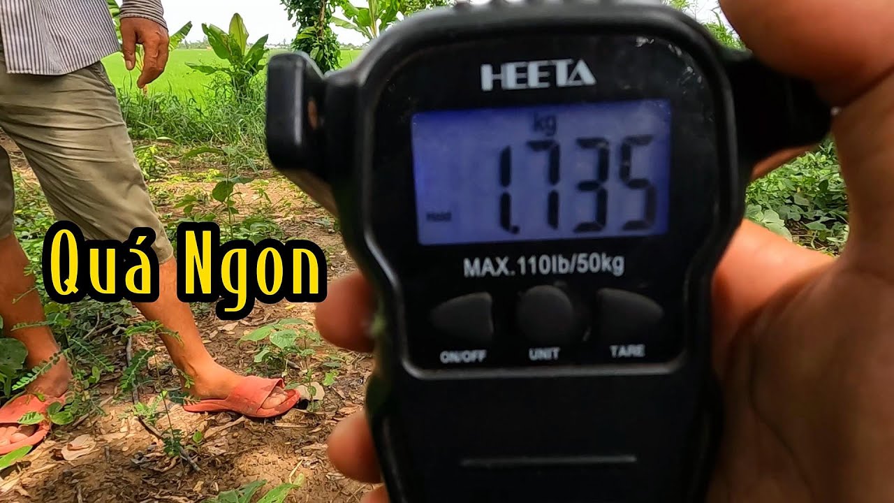 Phút Cuối Làm Được Con Rắn Chà Bá | Mười Thương Săn Bắt