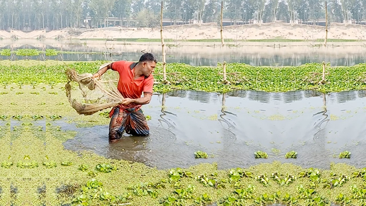Fishing Net Video - Unbelievable Cast Net Fishing - Vary Amazing Village Fishing Video