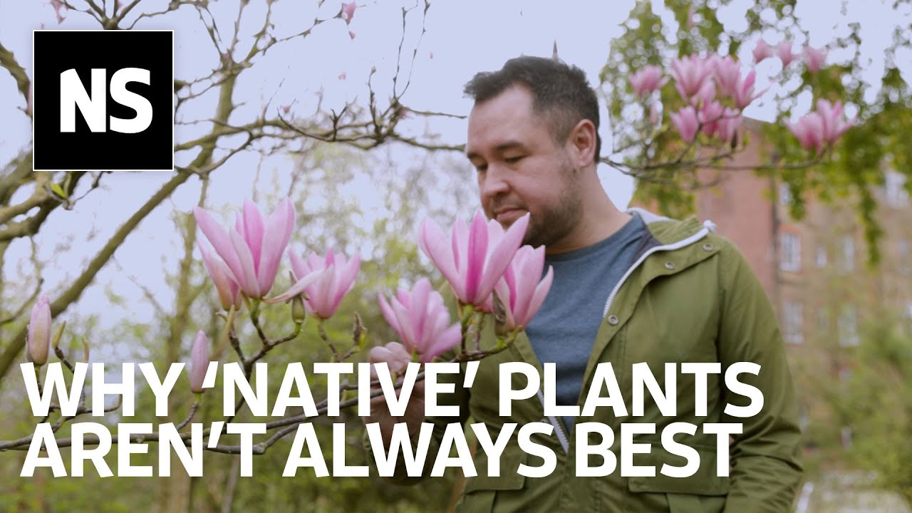 Why gardening with 'native' plants isn't always better for the environment