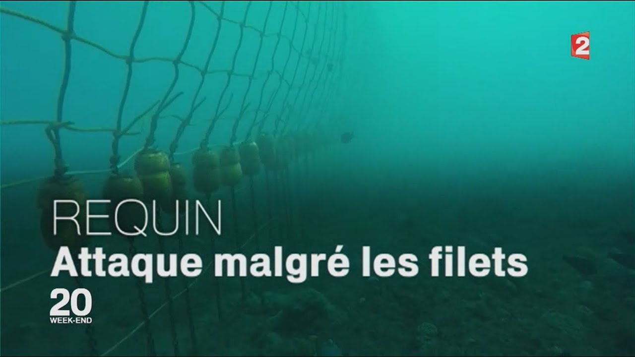 🇷🇪 🦈 Attaque de #requin bouledogue à Boucan Canot - La victime est Laurent CHARDARD - 27/08/2016