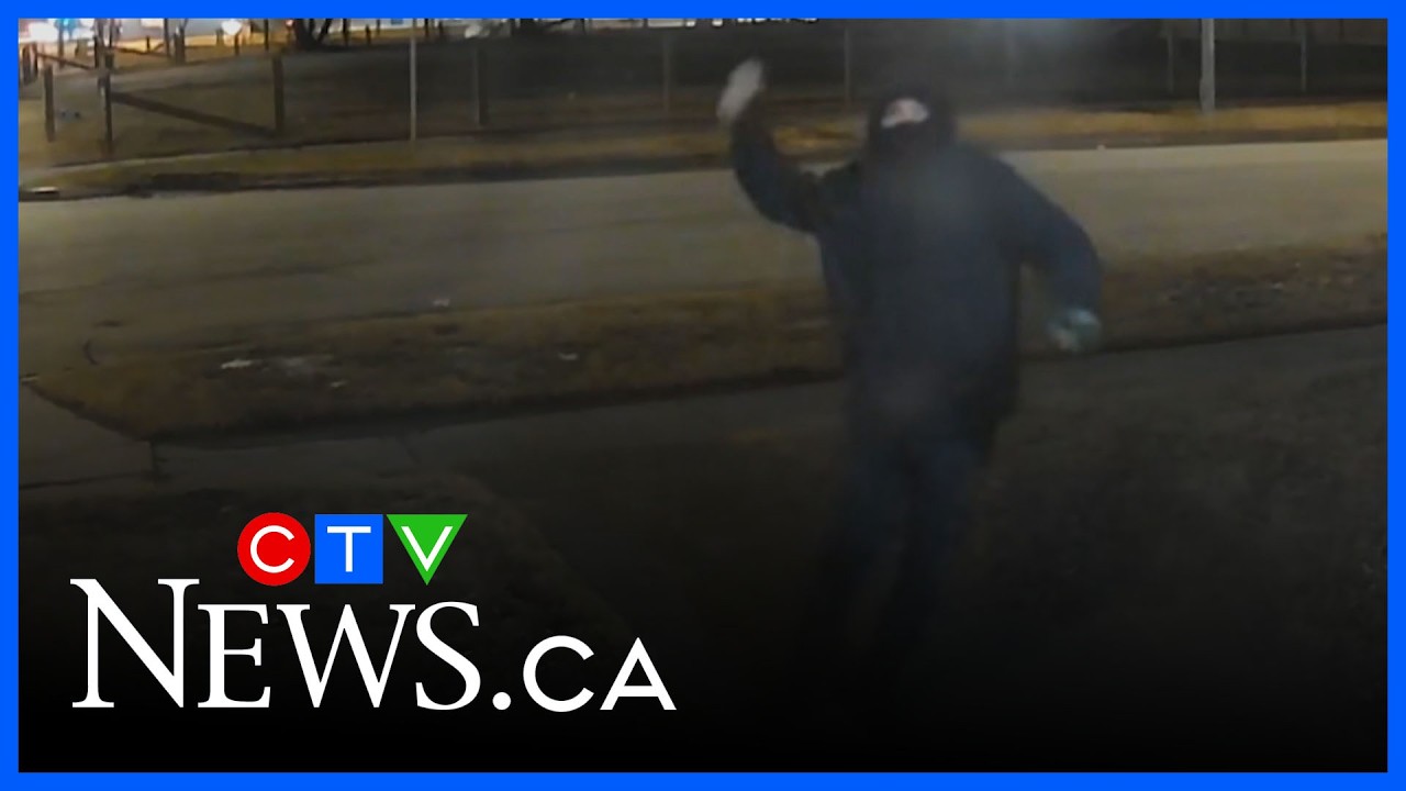 Multiple incidents of vandalism