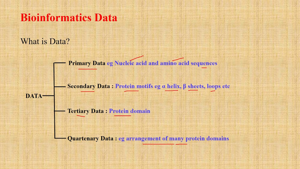 Introduction To Bioinformatics And Summary For Beginners