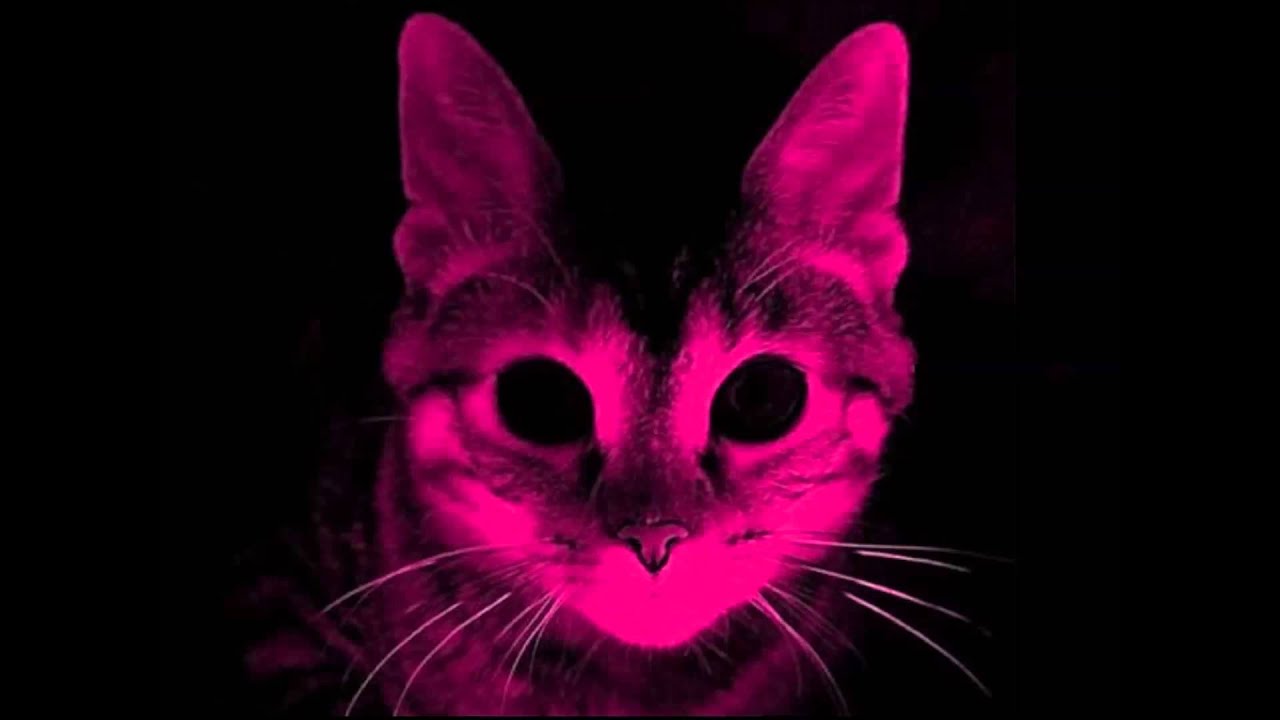 Deadmau5 - Have you seen my cat? (Extended)