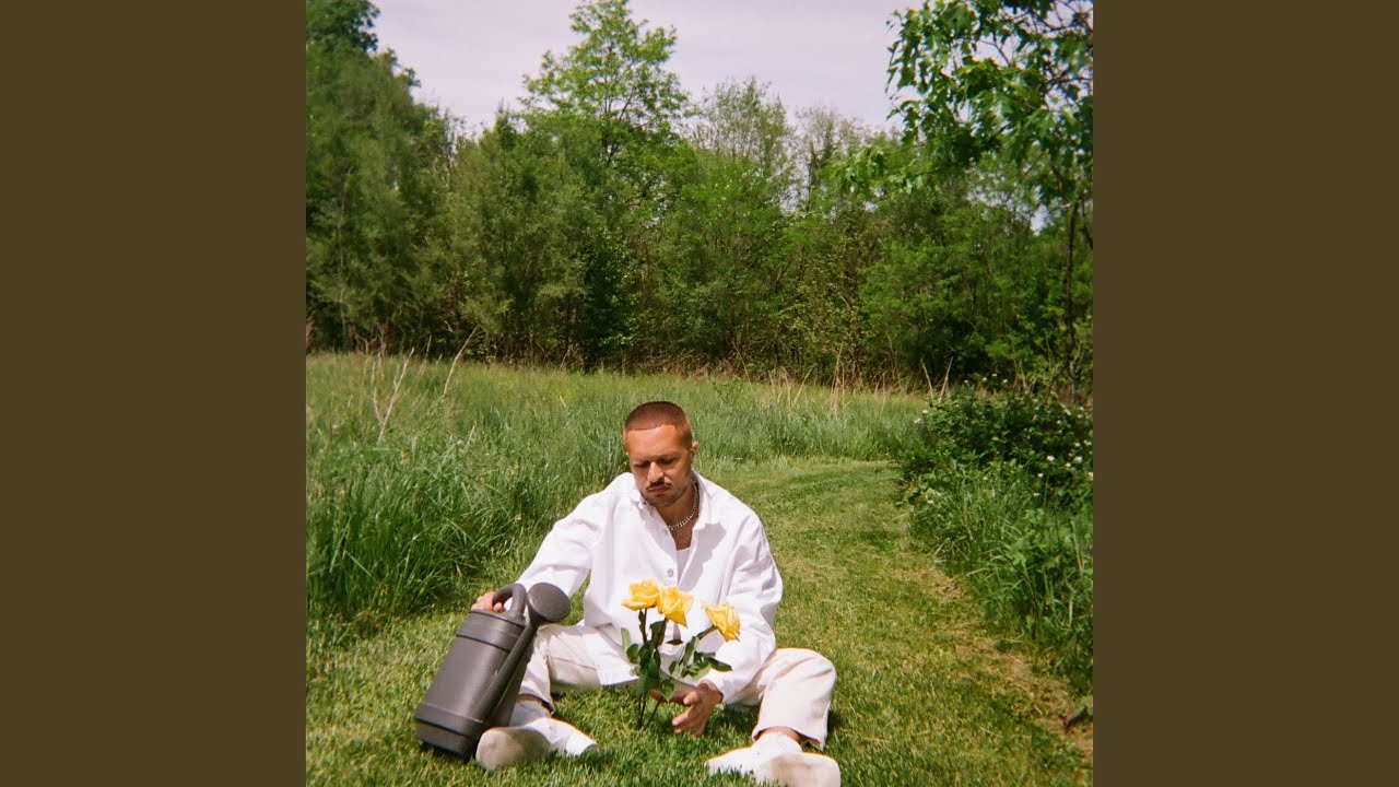 Daffodils