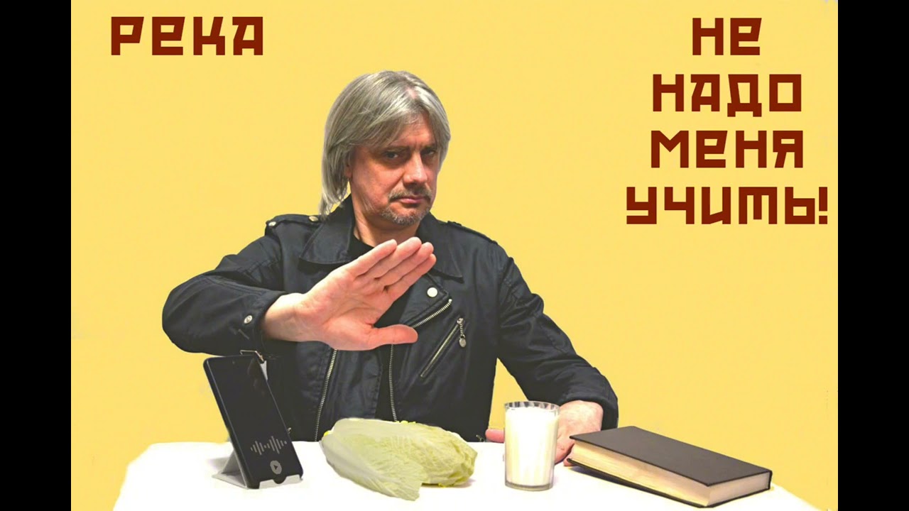 Река - Не надо меня учить! (Official Audio)