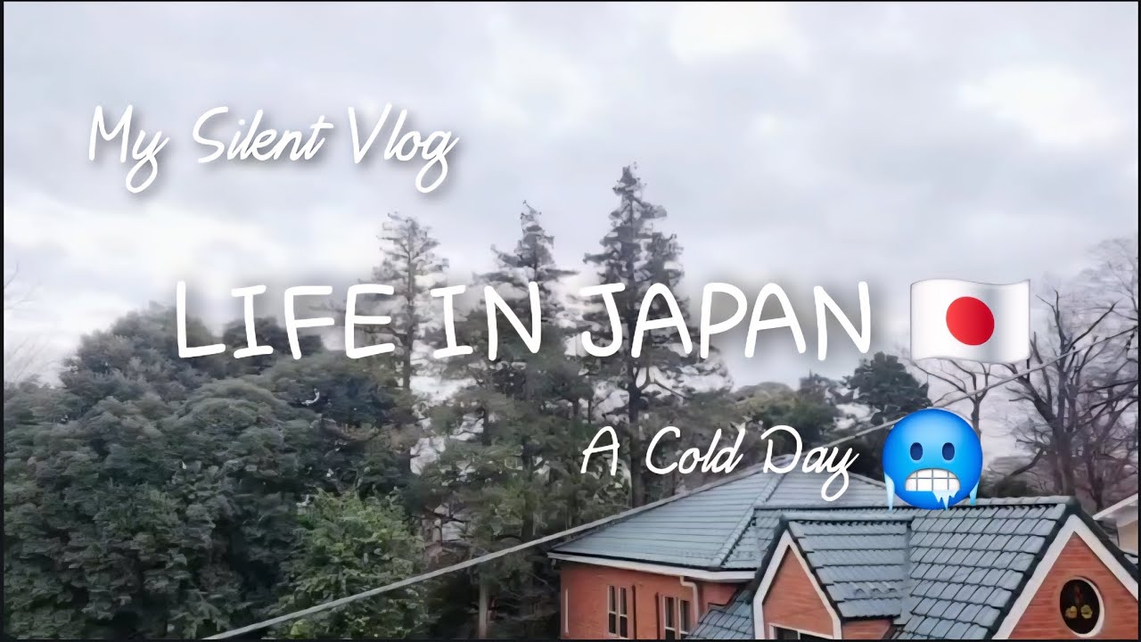 A Day In My Life in Japan | A Cold Day Out Shopping 