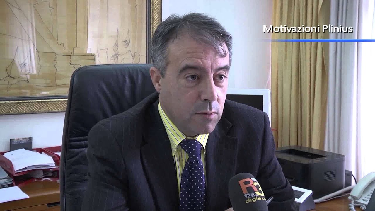Motivazioni Plinius, i ruoli di Stummo, Basile e Nocito