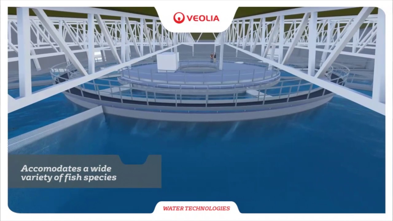 Новый RAS2020 от Veolia