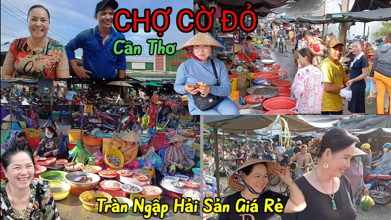 Chợ CỜ ĐỎ - Cần Thơ, Ngập Tràn Hải Sản Giá Rẻ, bà còn ai cũng vui vẽ